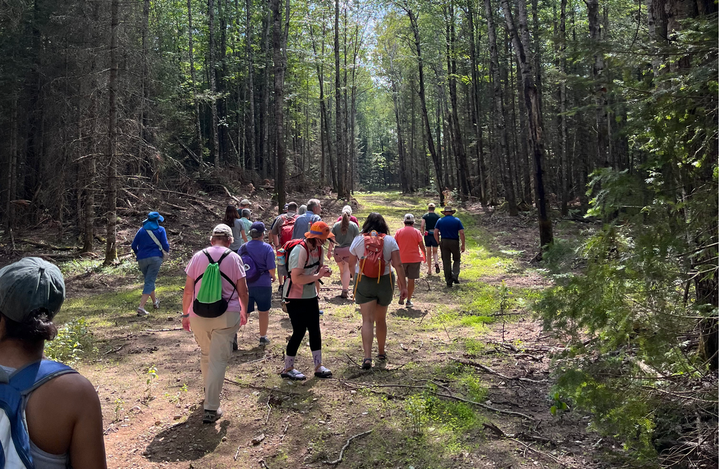 Discover the Northwoods' Hidden Wonders With TFT's Free Guided Hike